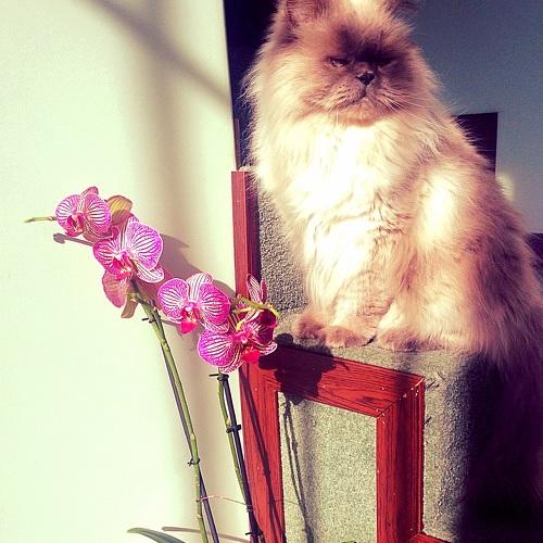 Photo #1328889