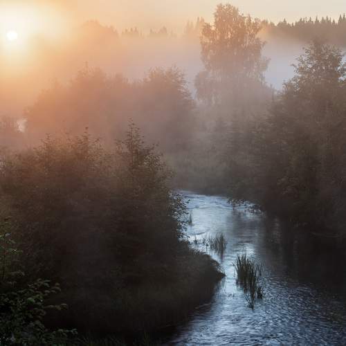 Photo #13250040