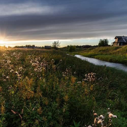 Photo #13250057