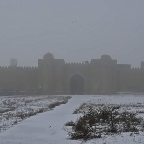 Photo #13250091
