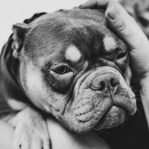 Photo #13250097