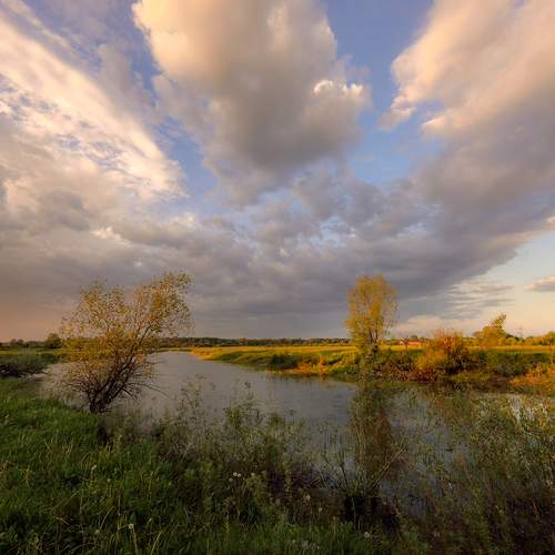 Photo #13250290