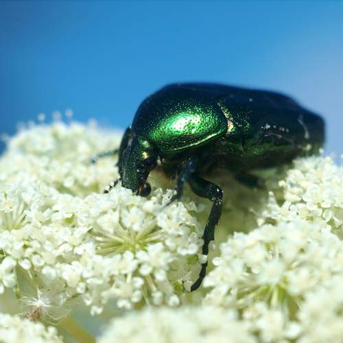 Photo #13250383