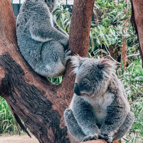 Photo #13250395