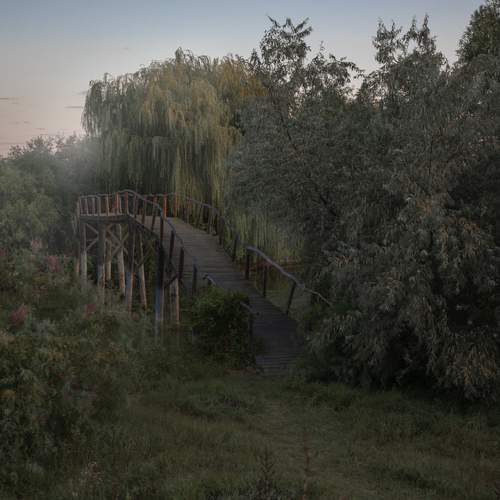 Фотография #13250534