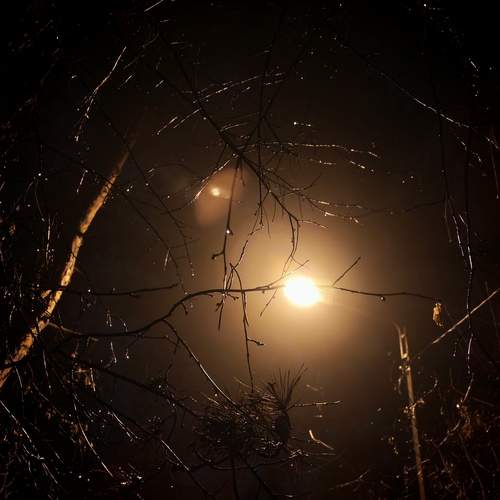 Photo #13250551