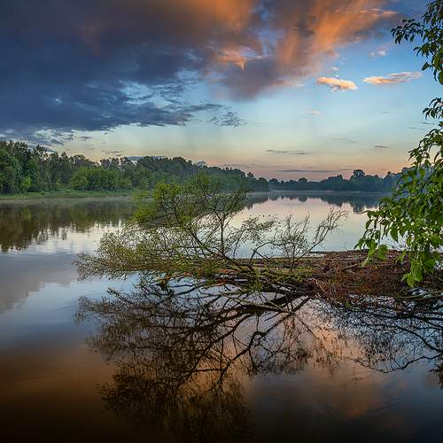 Photo #13250633