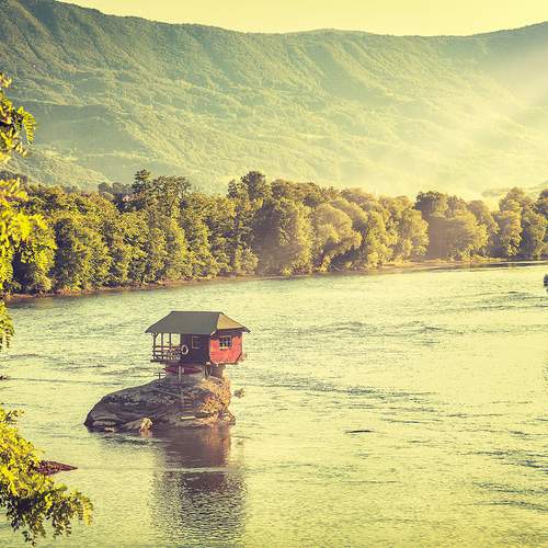 Photo #13250635