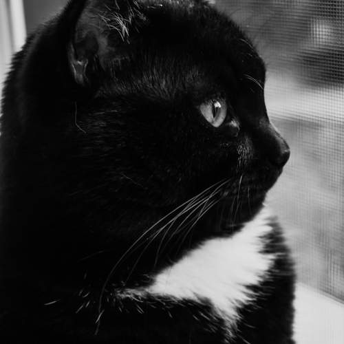 Photo #13250678