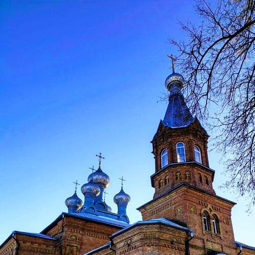 Photo #13250765