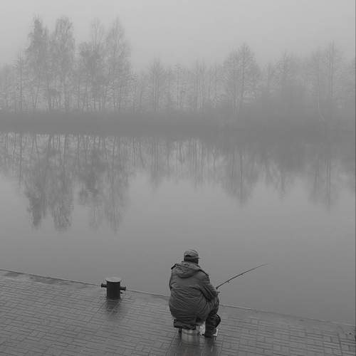 Photo #13250767