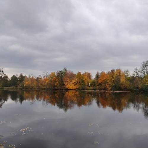 Photo #13250768