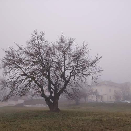 Photo #13250772