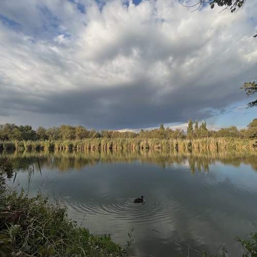 Photo #13250832