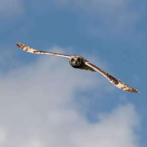 Photo #13250837
