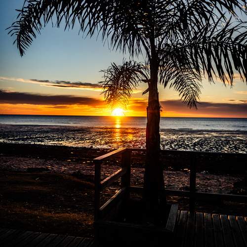 Photo #13250981