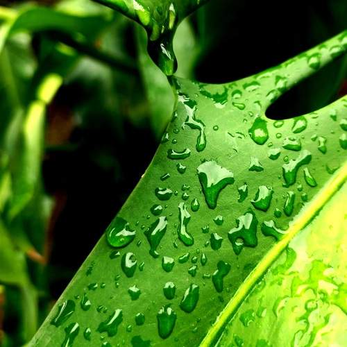 Photo #13251105