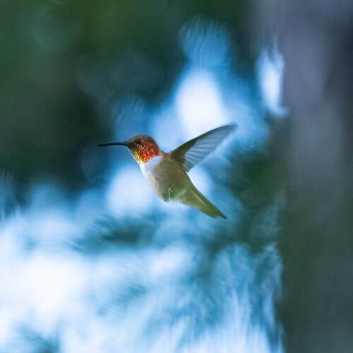 Фотография #13251115