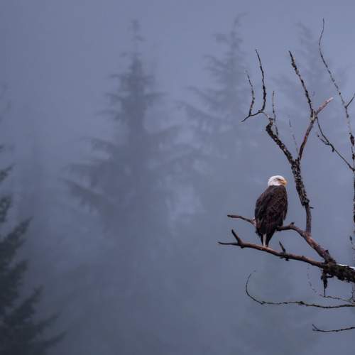 Фотография #13251161