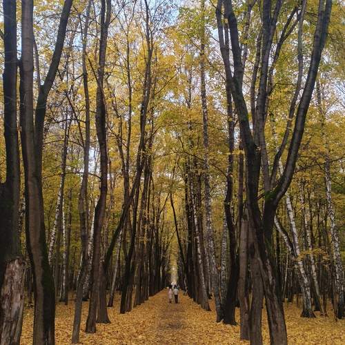 Photo #13251297