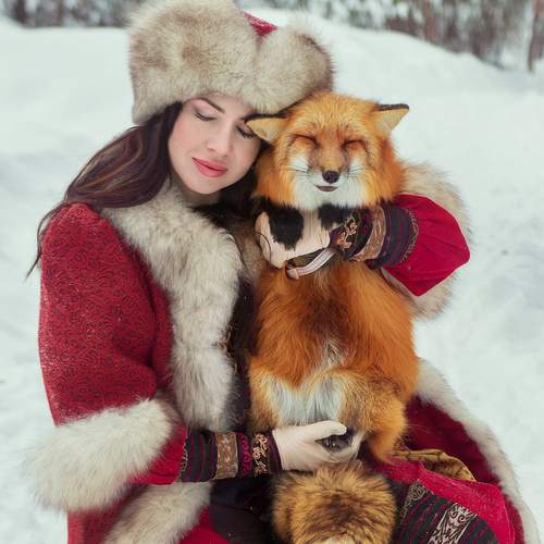 Photo #13251345