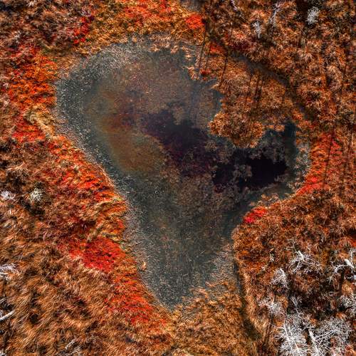 Photo #13251373