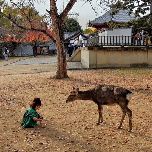 Photo #13251404