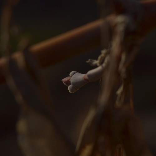 Photo #13251493