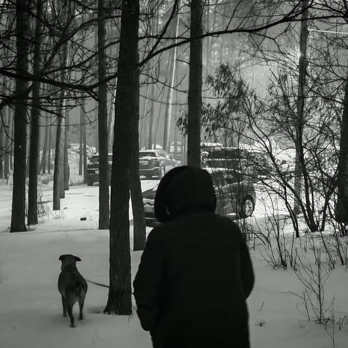 Photo #13251617