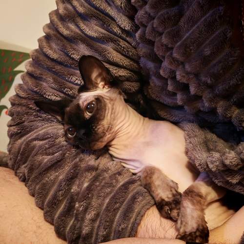Photo #13251618