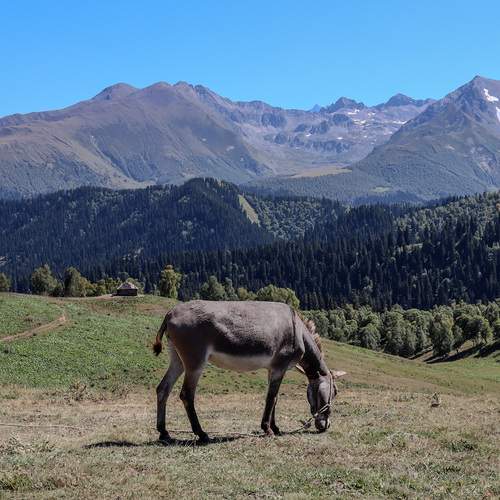 Photo #13251622