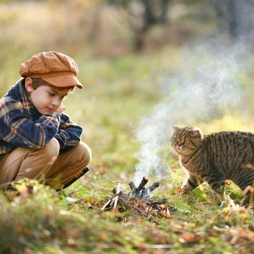 Photo #13251634