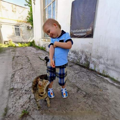 Photo #13251663