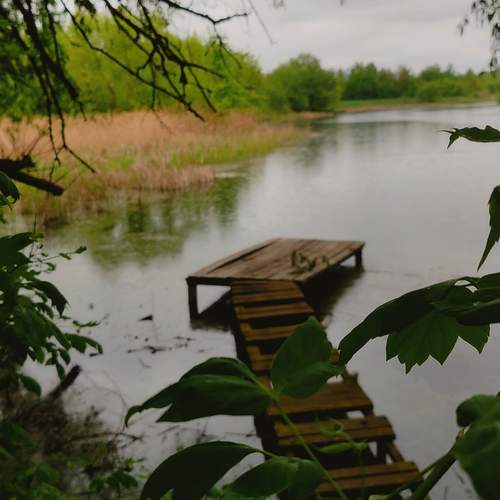 Photo #13251745