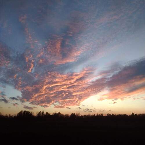 Photo #13251760