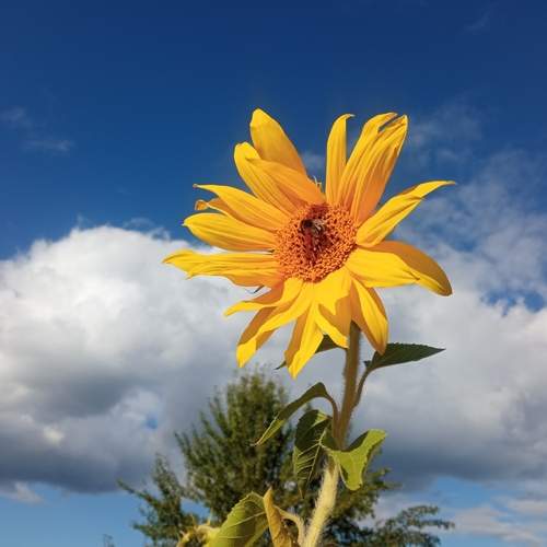 Photo #13251761