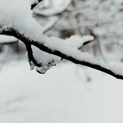 The beauty of simplicity