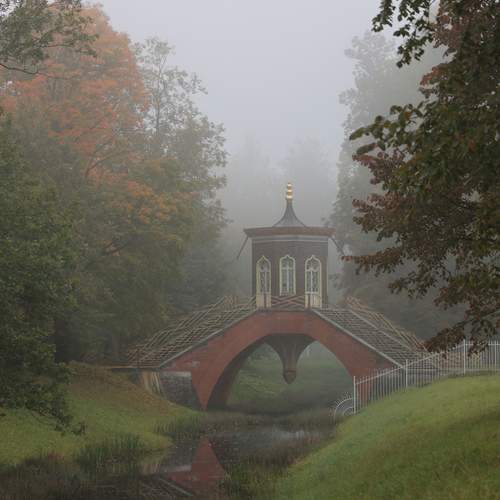 Photo #13251911