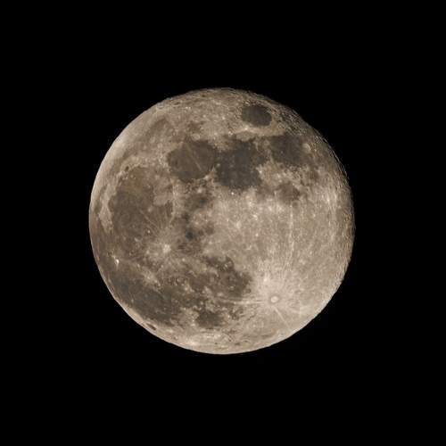 Photo #13251932