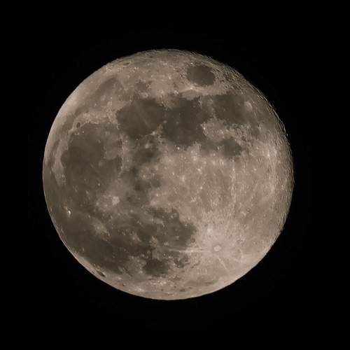 Photo #13252001