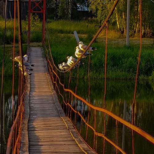 Photo #13252045