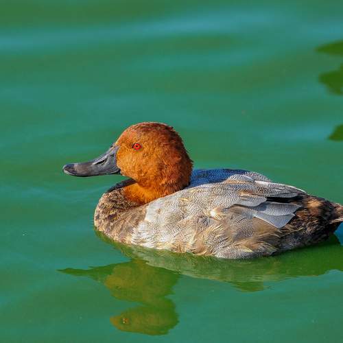 Photo #13252074