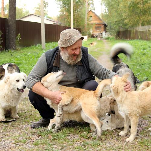 Photo #13252121