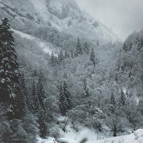 Photo #13252242