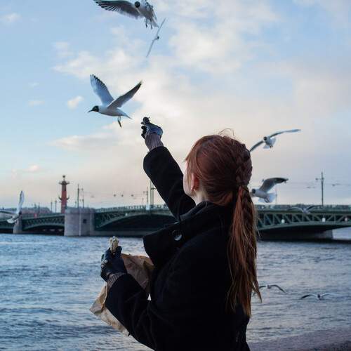 Photo #13252290