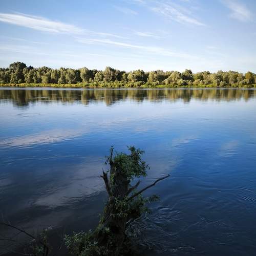 Photo #13252301