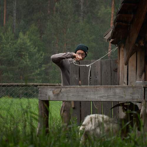 Photo #13252340