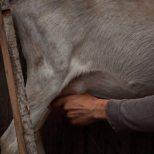 Photo #13252341