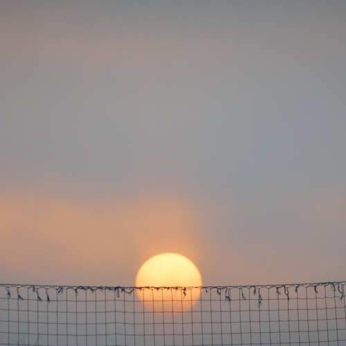 Photo #13252368