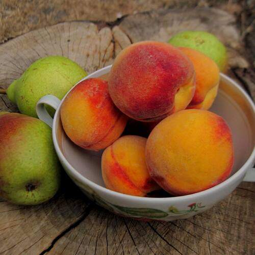 Photo #13252668